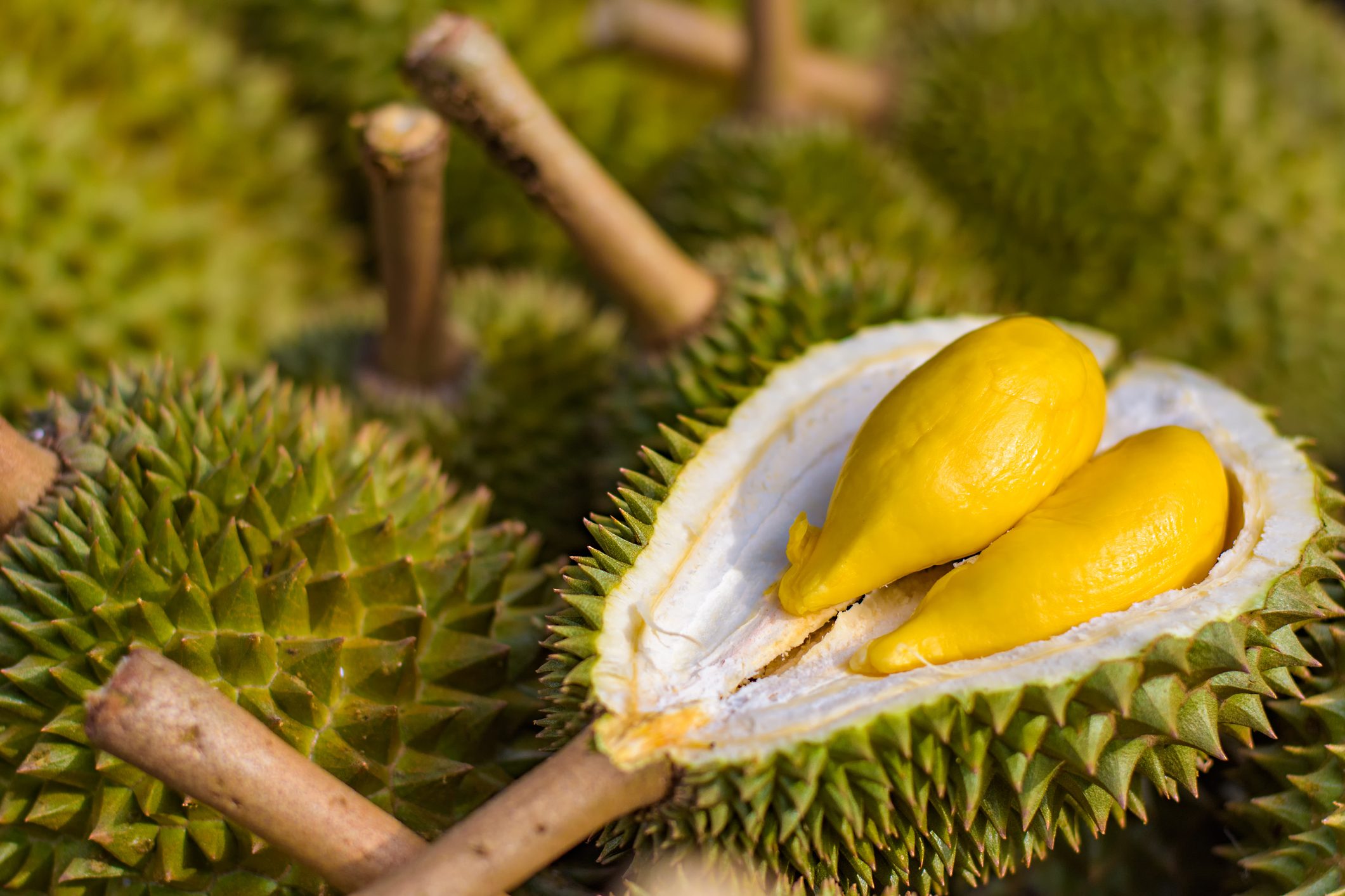 Singapore durian delivery